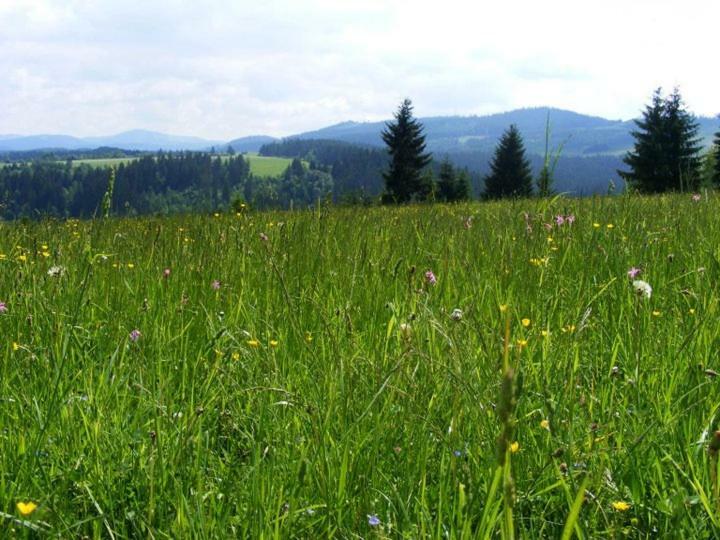 Chata Nad Briezkami Raková Exterior photo